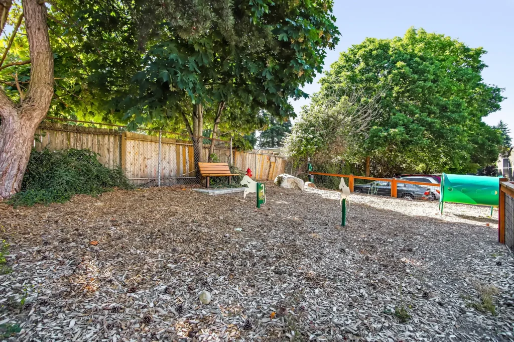 Irwin Park outdoor dog park with bench and fun obstacles